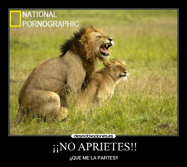 ¡¡NO APRIETES!! - ¡¡QUE ME LA PARTES!!