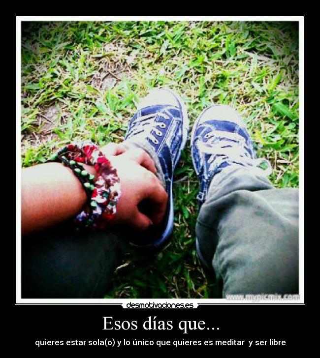 carteles free desmotivaciones