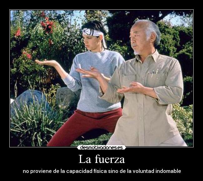 La fuerza - 