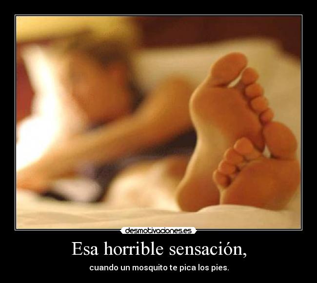 Esa horrible sensación, - cuando un mosquito te pica los pies.