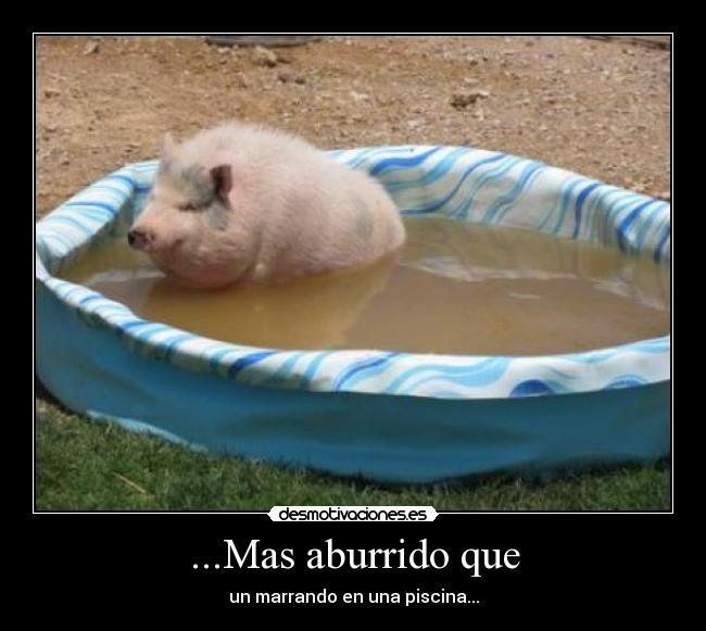 ...Mas aburrido que -