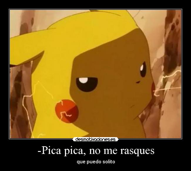 -Pica pica, no me rasques - 