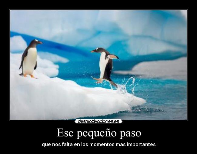 carteles sigueme twitter cuenta lgns desmotivaciones