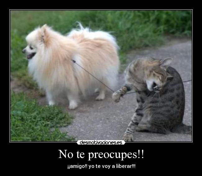 No te preocupes!! -