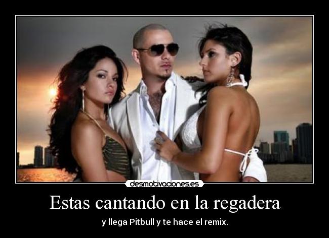 carteles pitbull desmotivaciones