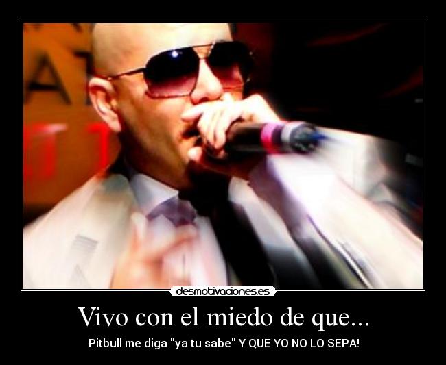 Vivo con el miedo de que... - Pitbull me diga ya tu sabe Y QUE YO NO LO SEPA!