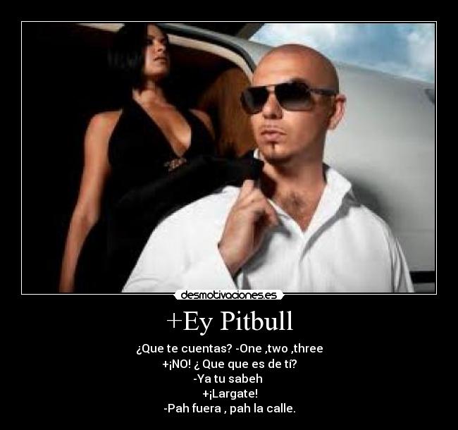 +Ey Pitbull - 