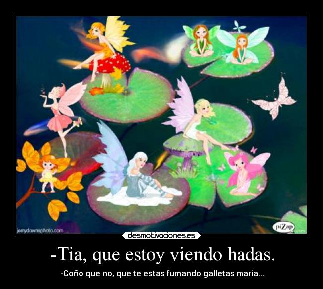 -Tia, que estoy viendo hadas. -