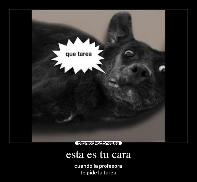 carteles brian desmotivaciones