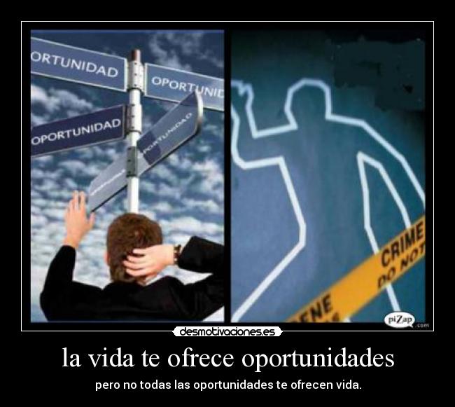 la vida te ofrece oportunidades -
