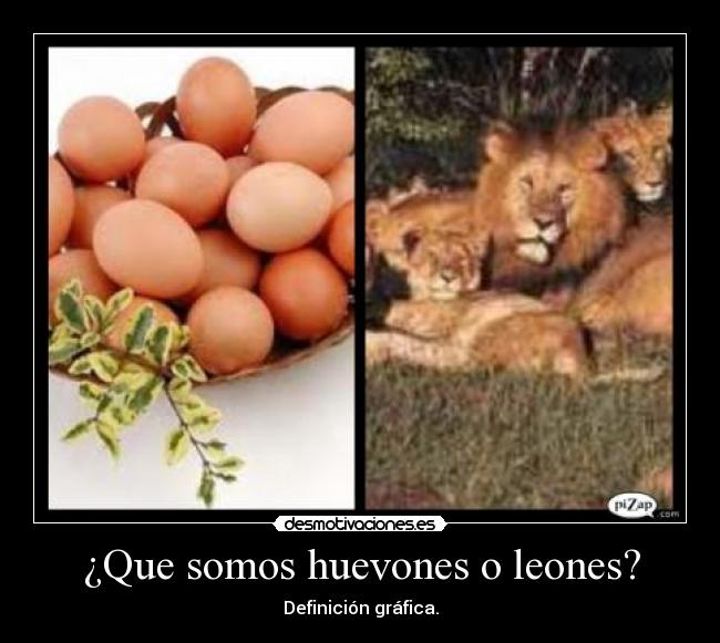 ¿Que somos huevones o leones? - Definición gráfica.