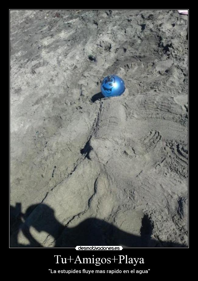 Tu+Amigos+Playa - 