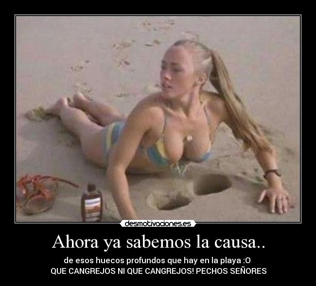 carteles que cangrejos cangrejos pechos desmotivaciones