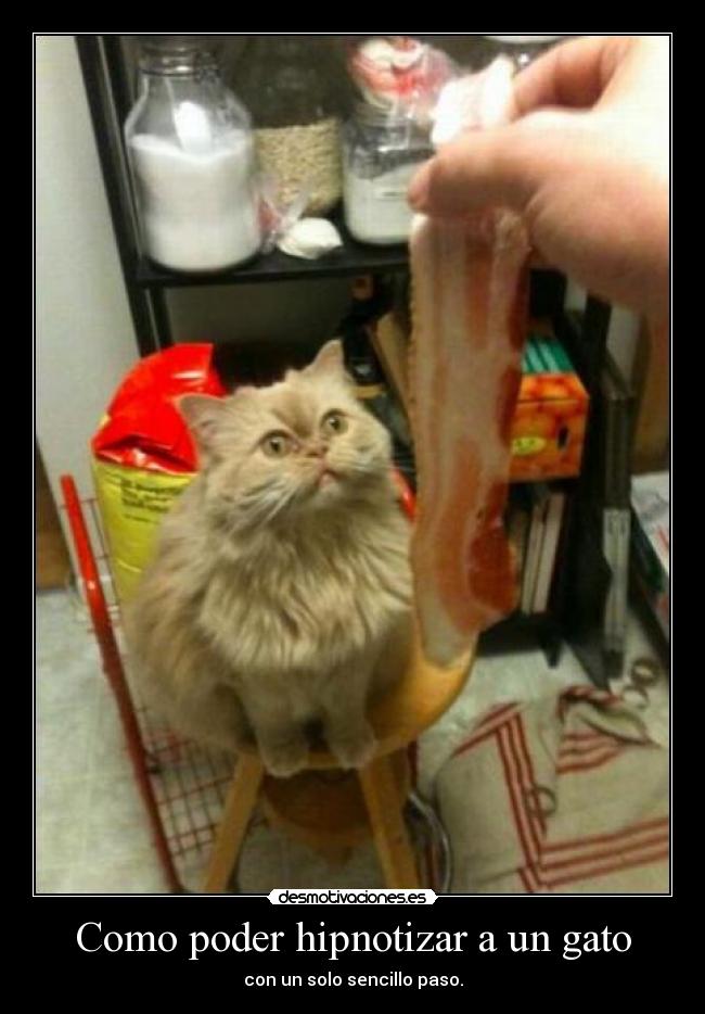 carteles laura ejies jmar ella sonrisarota pedir principales ahora que esta medio lelo desmotivaciones