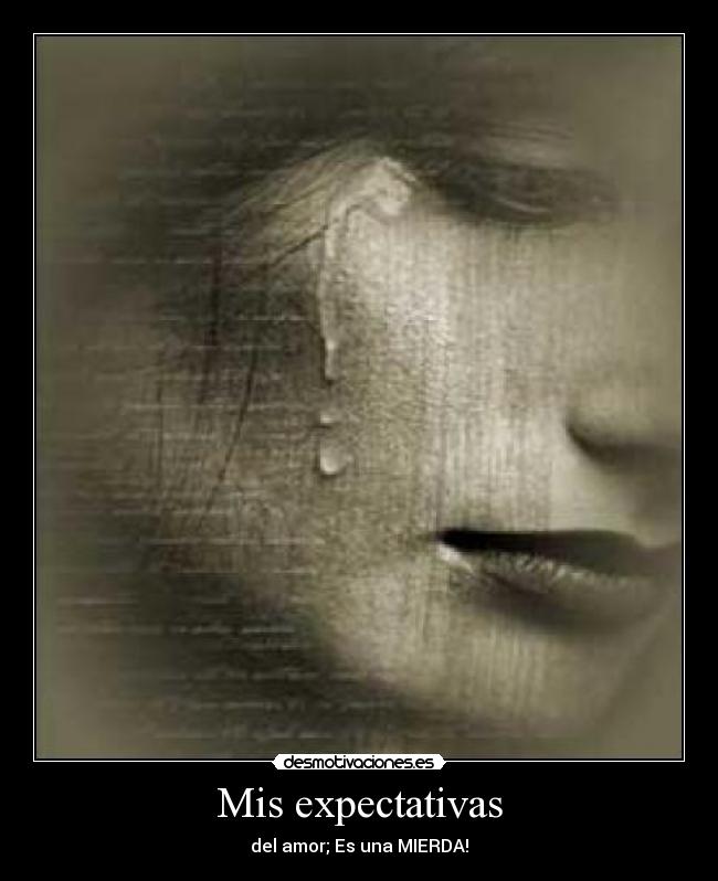 Mis expectativas - del amor; Es una MIERDA!