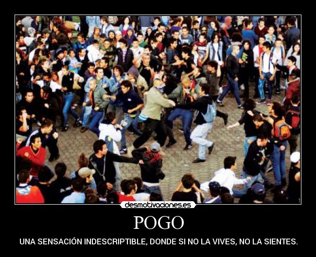 carteles pogo desmotivaciones