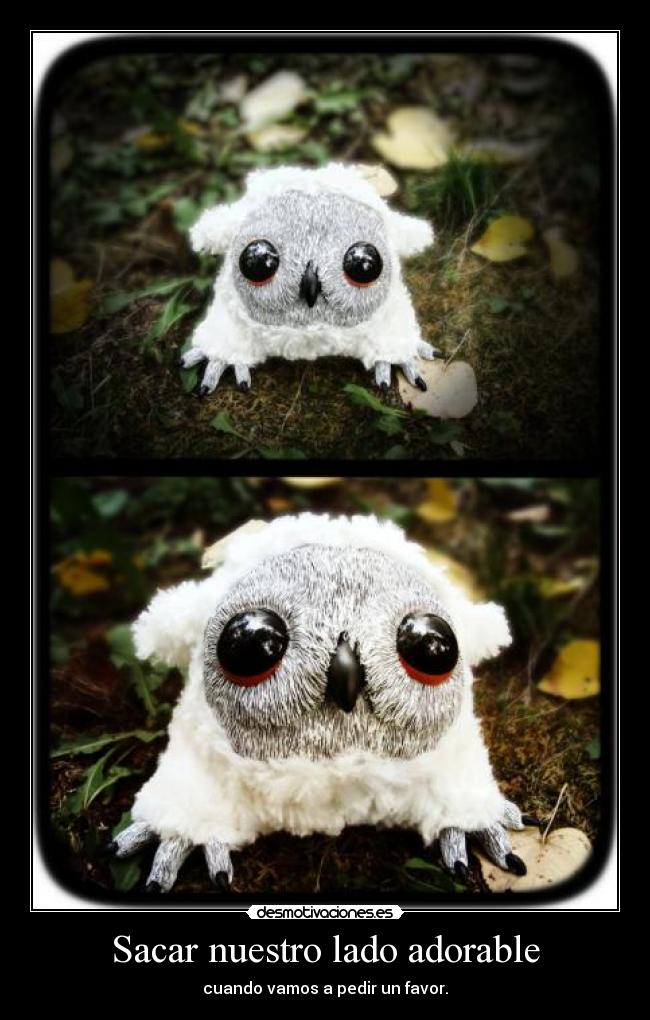 Sacar nuestro lado adorable - cuando vamos a pedir un favor.