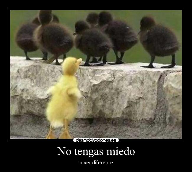 No tengas miedo - a ser diferente