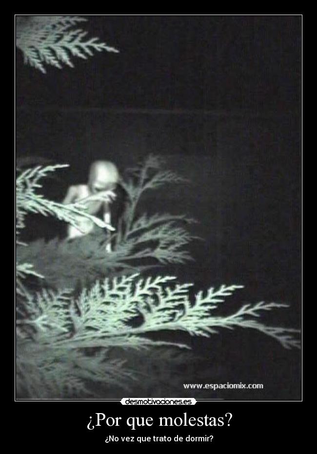 ¿Por que molestas? -