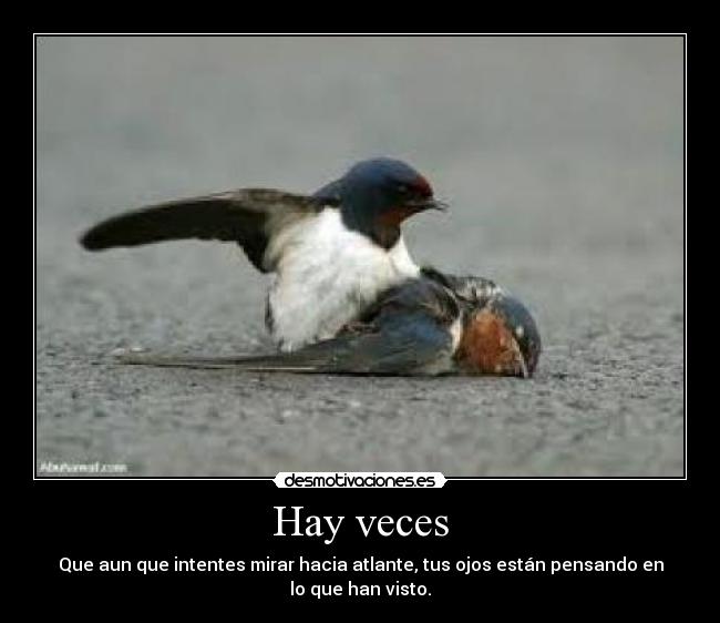 Hay veces - 