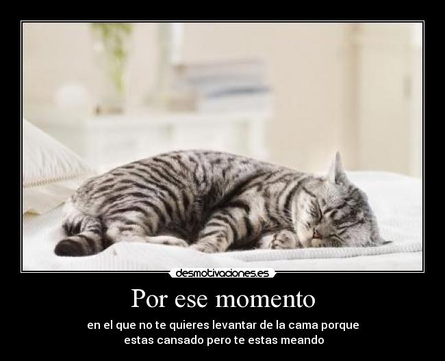 Por ese momento - en el que no te quieres levantar de la cama porque
 estas cansado pero te estas meando