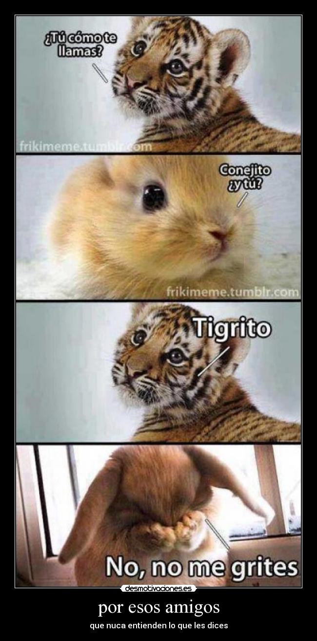 por esos amigos - que nuca entienden lo que les dices