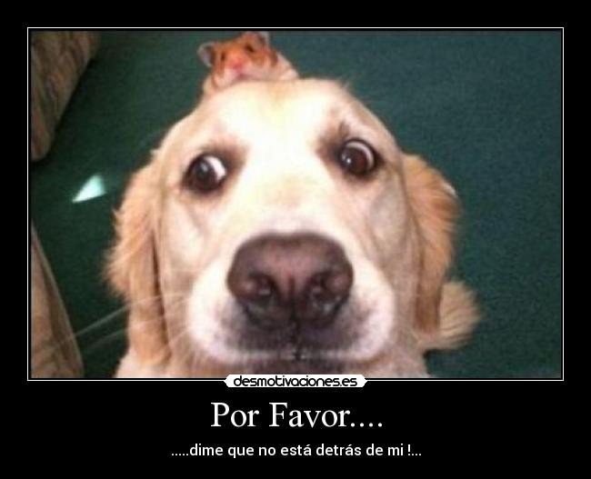 Por Favor.... - 