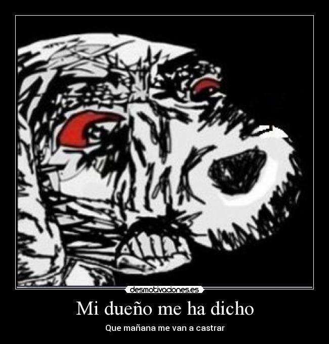 Mi dueño me ha dicho - Que mañana me van a castrar