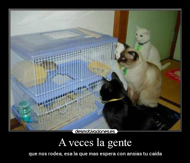 A veces la gente - que nos rodea, esa la que mas espera con ansias tu caída