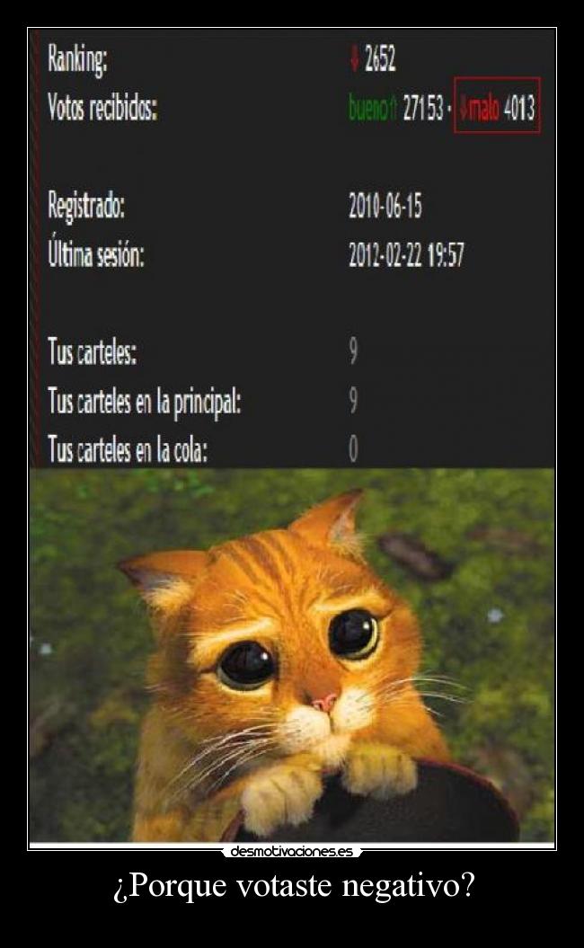¿Porque votaste negativo? -