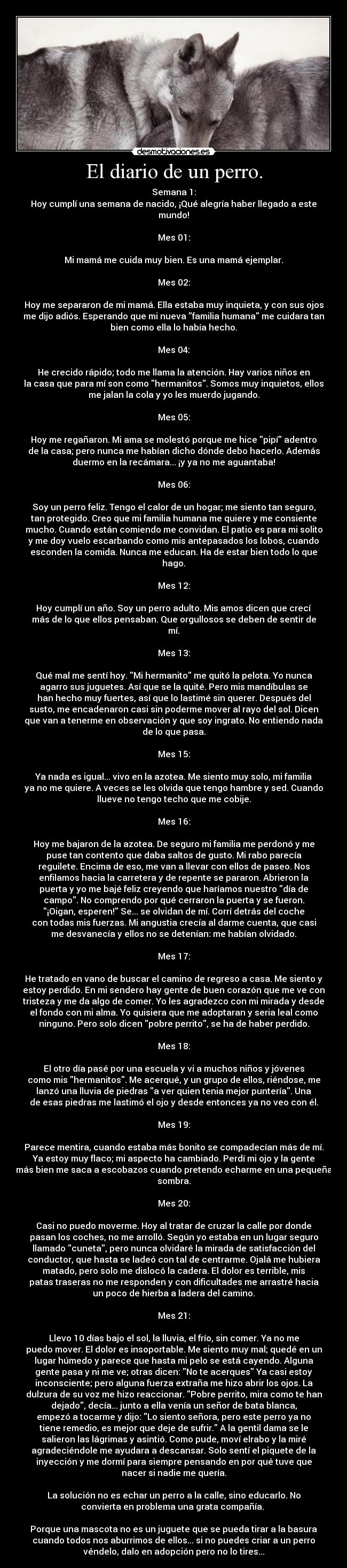 El diario de un perro. - 