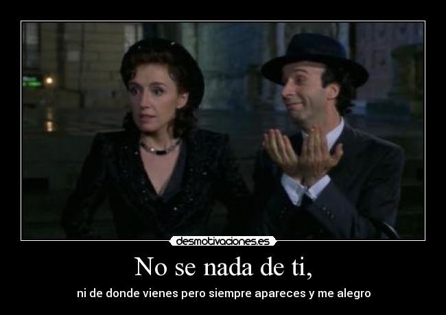 No se nada de ti, - ni de donde vienes pero siempre apareces y me alegro