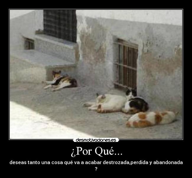 ¿Por Qué... -