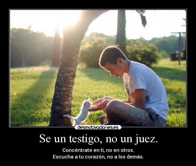 Se un testigo, no un juez. - Concéntrate en ti, no en otros.
Escucha a tu corazón, no a los demás.