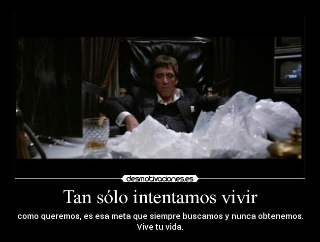 Tan sólo intentamos vivir -