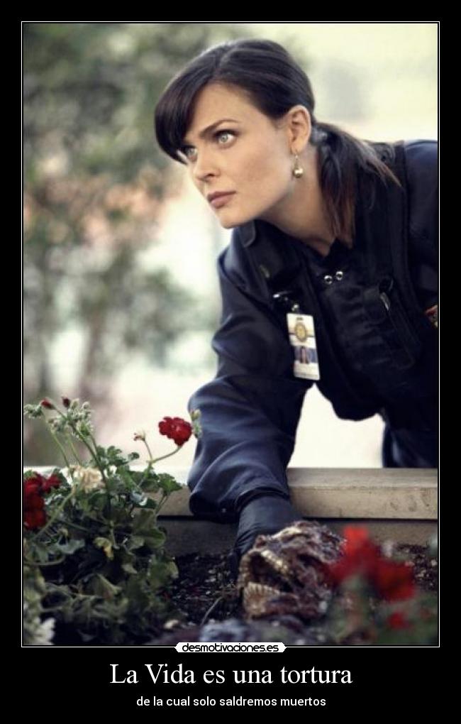 La Vida es una tortura -
