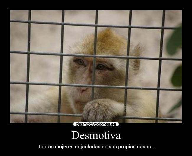 Desmotiva - 