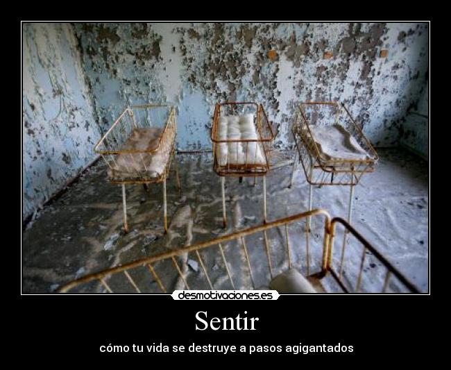 Sentir - 