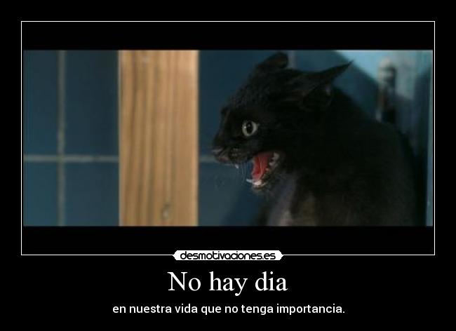 No hay dia - 