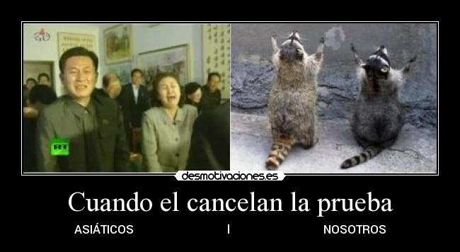 Cuando el cancelan la prueba - ASIÁTICOS l NOSOTROS
