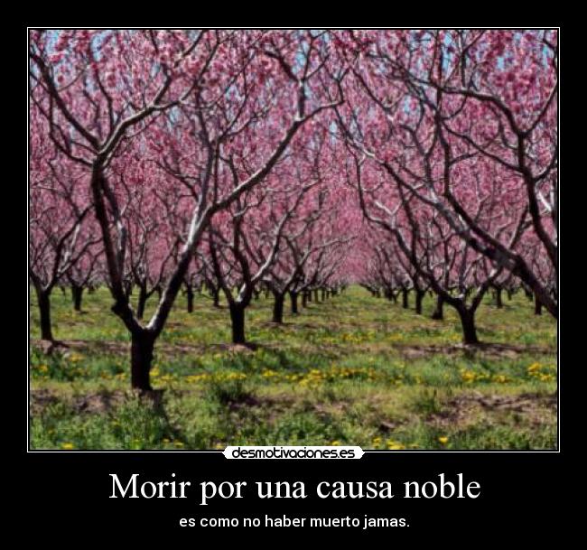 Morir por una causa noble - es como no haber muerto jamas.