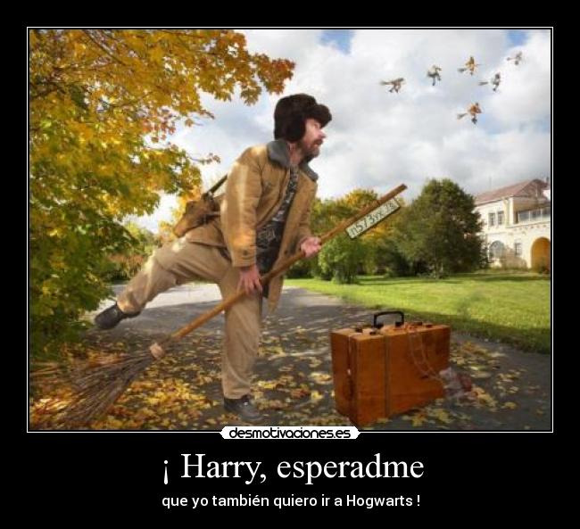 ¡ Harry, esperadme -