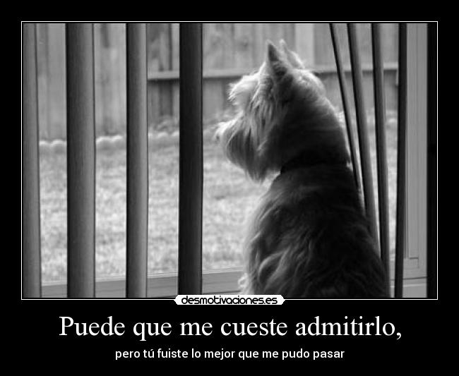 Puede que me cueste admitirlo, - 