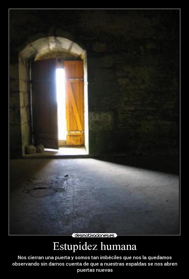 Estupidez humana -