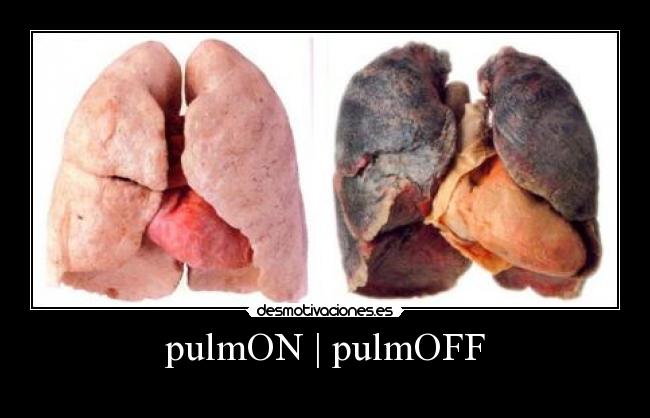 pulmON | pulmOFF -
