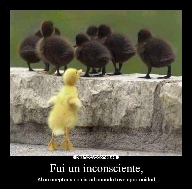 Fui un inconsciente, -
