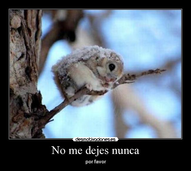 No me dejes nunca -