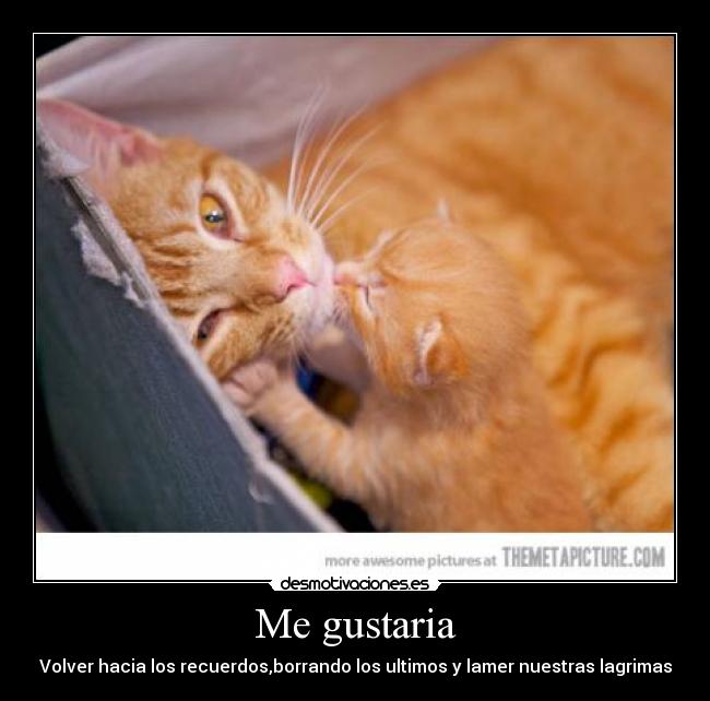 Me gustaria -