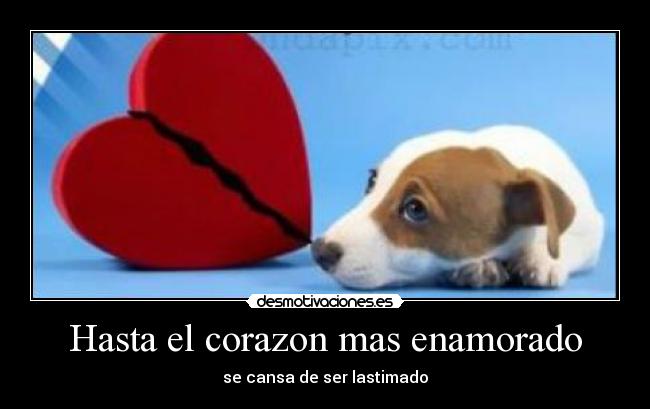 Hasta el corazon mas enamorado - se cansa de ser lastimado