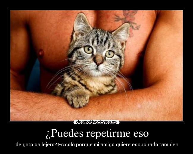 ¿Puedes repetirme eso - 
